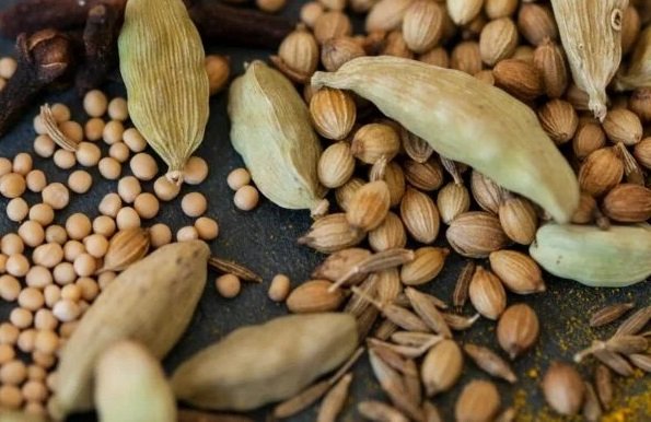 Herbs And Harbour Offers the Best Cardamom and Coriander Seeds Manufacturing in Noida